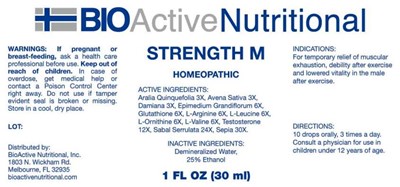 Strenght M (Bani0223 Strength M 1 3 17)